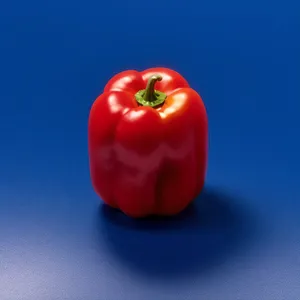 Colorful Fresh Vegetable Salad with Bell Peppers and Tomatoes