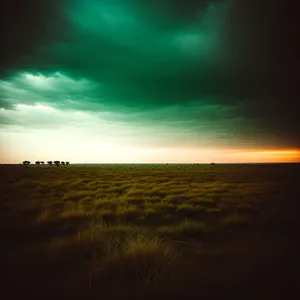 Golden Horizon: Tranquil Sunset over Beach