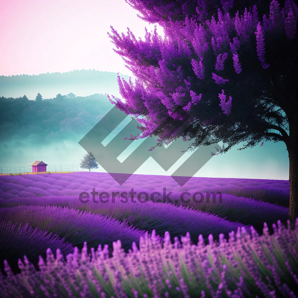 Picture of Vibrant Lavender Heath Blooming Under Colorful Sky