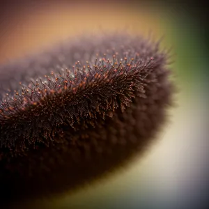 Kiwi Fruit Plant with Brush Texture Close-Up