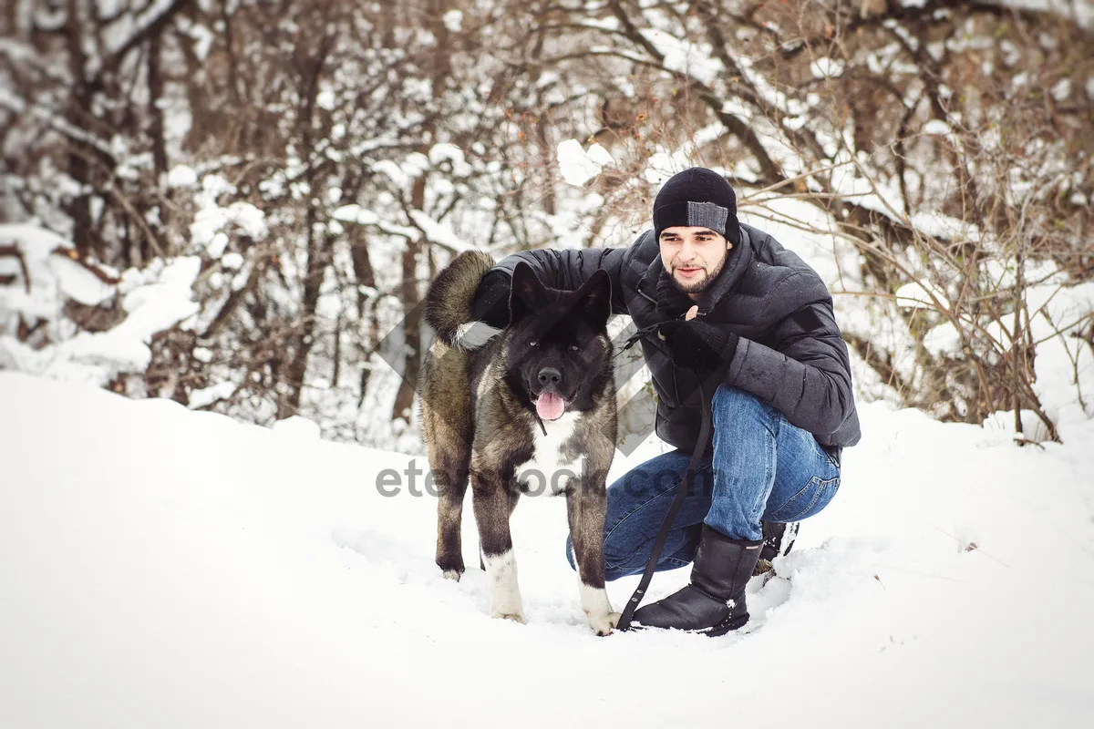 Picture of Winter Fun With Terrier Dog in Snowy Forest