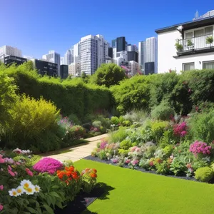 Serene Summer Park with Vibrant Floral Landscape