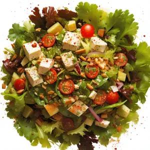 Fresh Gourmet Vegetable Salad with Cheese and Cherry Tomatoes
