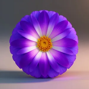 Blooming pink daisy in vibrant garden