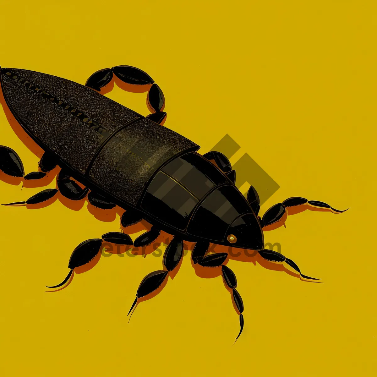 Picture of Close-up of an Earwig Insect