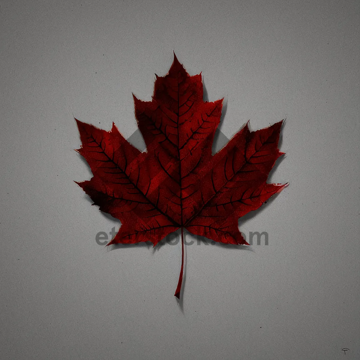 Picture of Vibrant Autumn Maple Leaf with Bright Colors