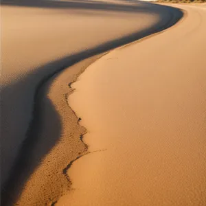 Serenity in the Sands: A Desert Landscape Adventure