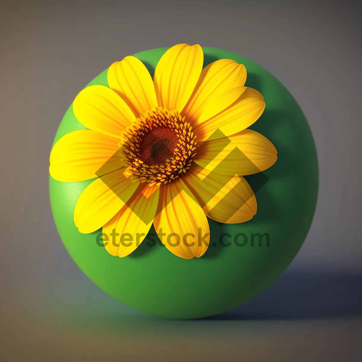 Picture of Vibrant Sunflower Blooming in Summer Garden