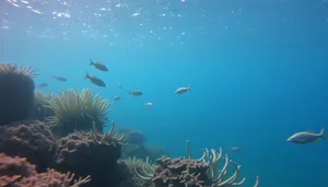 Tropical fish swimming in sunlit coral reef.