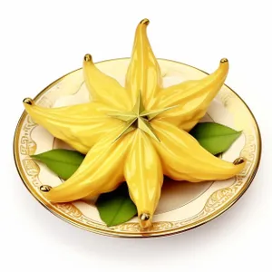 Yellow Lily Flower in Bloom - Freshly Picked Produce