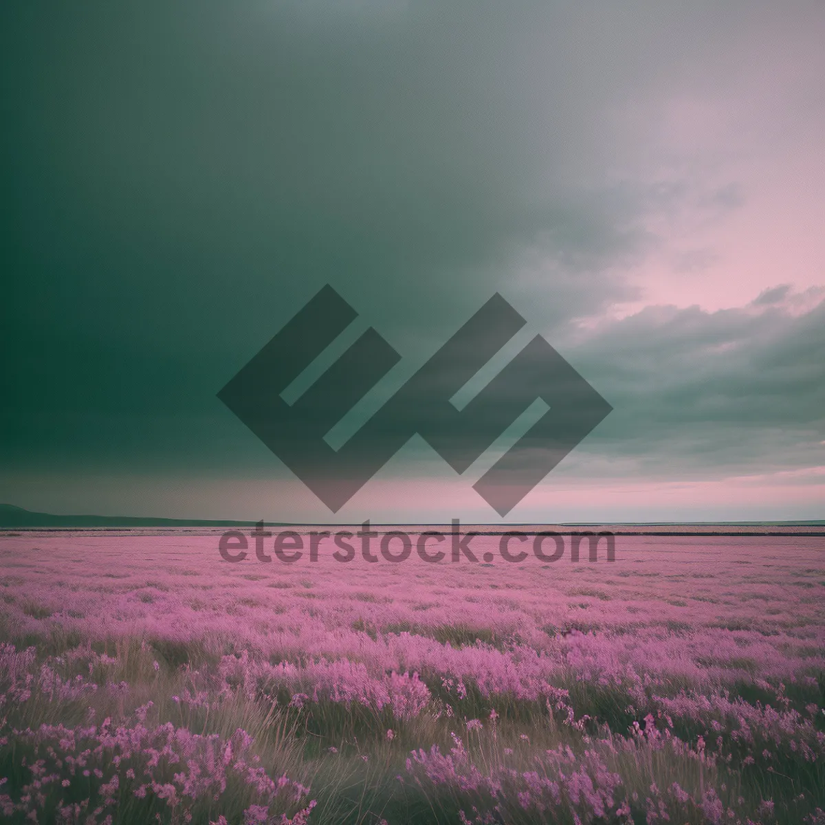 Picture of Vibrant Summer Flower Field in the Countryside