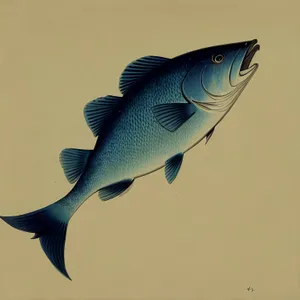 Tropical Barracuda Swimming in Coral Reef