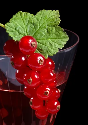 Fresh and Delicious Summer Berry Salad with Lettuce