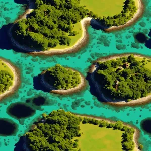 Colorful Coral Reef in the Tropical Sea