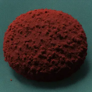 Delicious litchi chocolate candy with powdered sugar coating