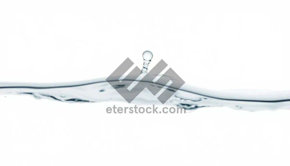 Picture of Fluid Wave Art Motion Graphic Design