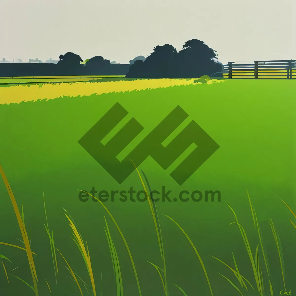 Picture of Vibrant Field of Golden Wheat under Clear Blue Sky