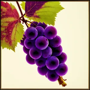 Vibrant Grape Bunch in a Colorful Vineyard