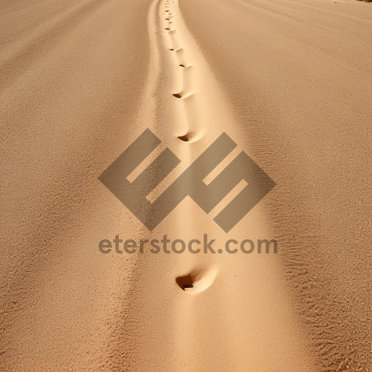 Picture of Light Textured Dune Curtain Design