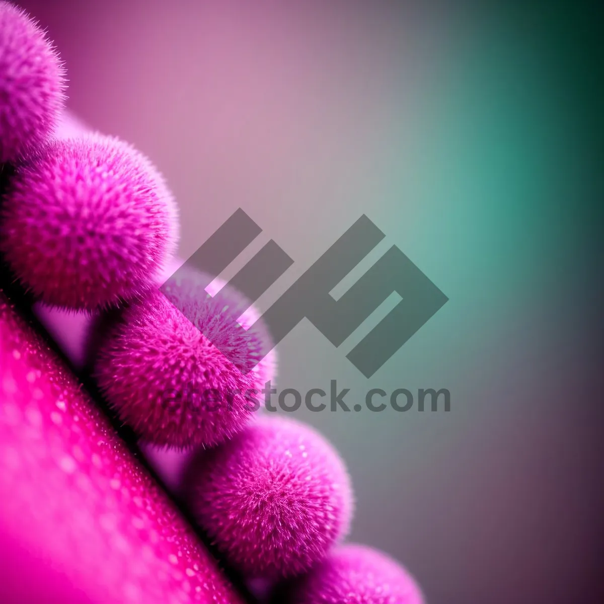 Picture of Pink Flower Close-Up with Bacteria
