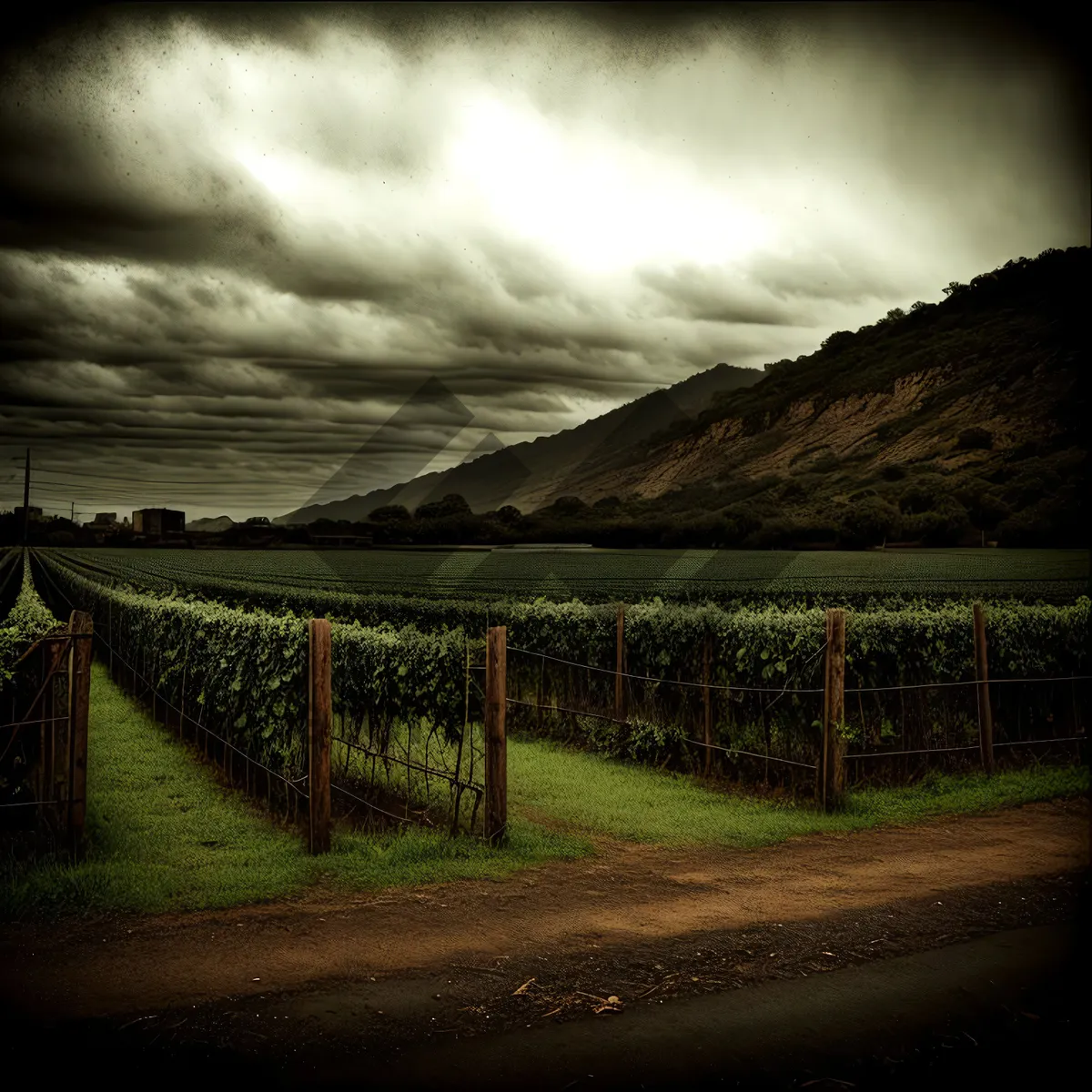 Picture of Rural Landscape with Fence and Mountains