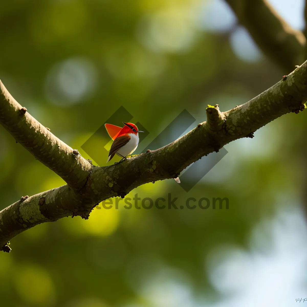 Picture of Tropical bird perched on a vibrant branch.