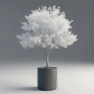 Blooming Life: A Spring Seedling Grows into a Leafy Tree