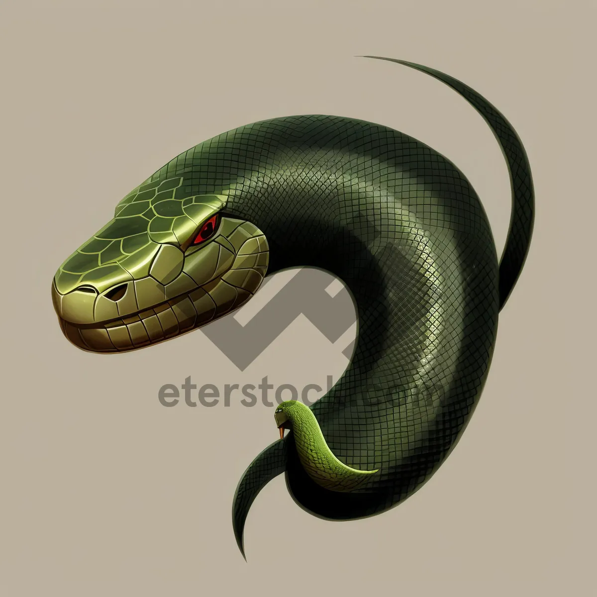 Picture of Green Mamba - Dangerous Wildlife Reptile Close-Up Photo