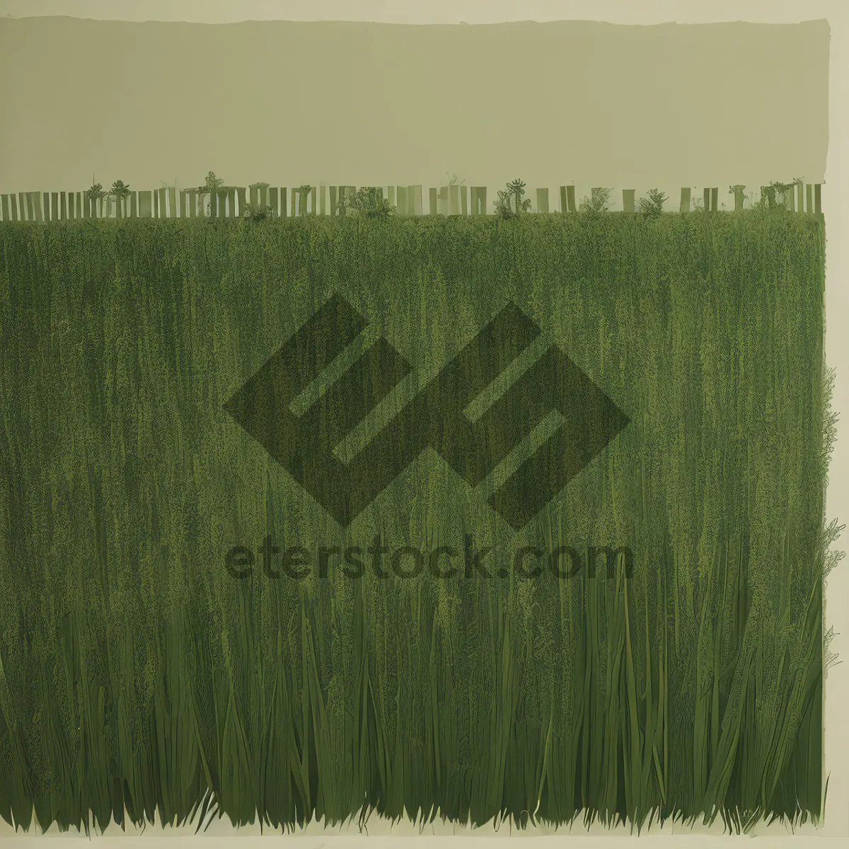 Picture of Summer Wheat Field Texture with Bristle Brush Pattern