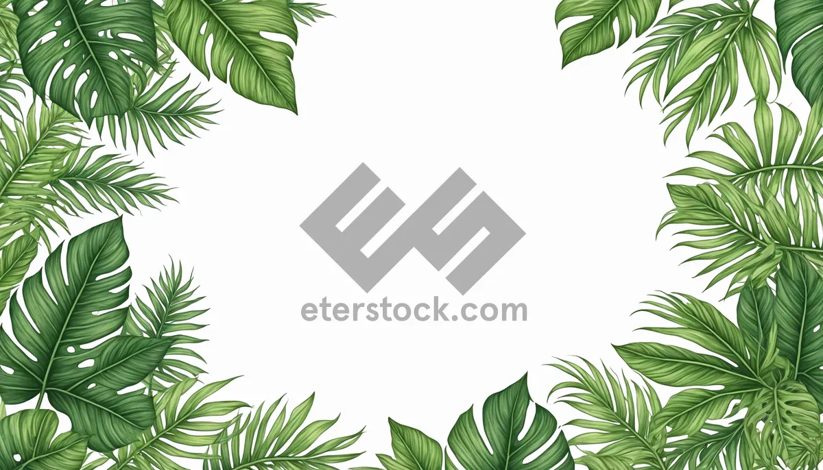 Picture of Floral Evergreen Tree Branch Design Frame