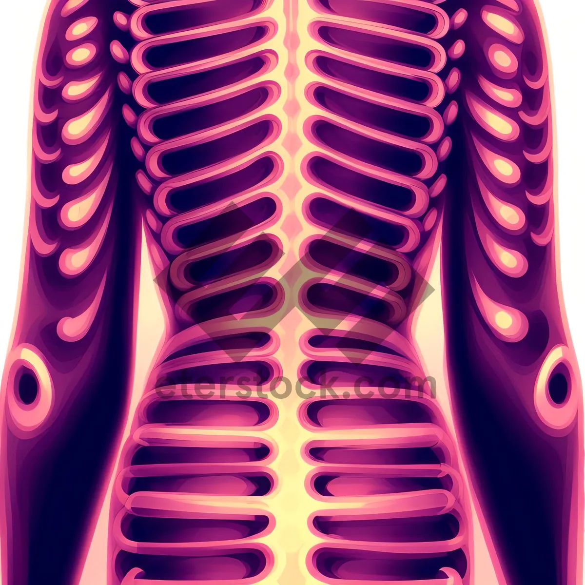Picture of Human Anatomy: 3D X-ray of Spine