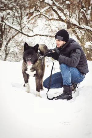 Winter fun with dog on snowshoes in mountains.