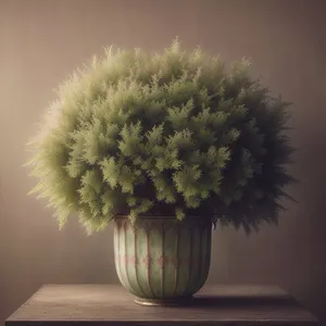 Botanical Cactus Flower in Glass Vase