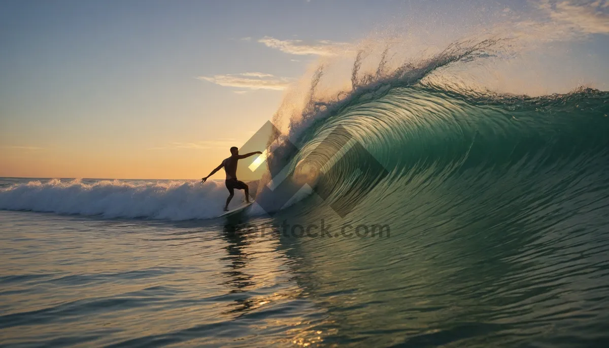 Picture of Golden sunset over tranquil ocean waters