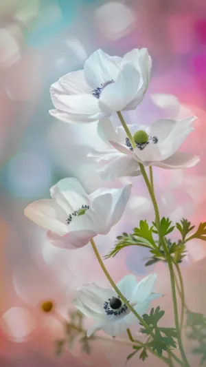 Spring Blossom Pink Floral Flora White Petal