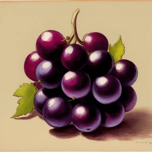 Juicy Grape Bunch - Fresh, Sweet, and Healthy Fruit