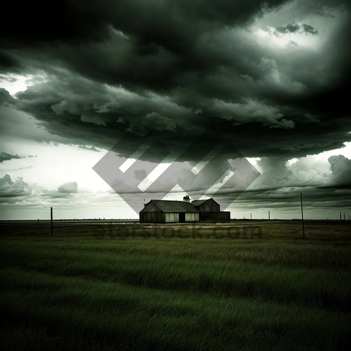 Picture of Serenity in the Open Fields: A Rural Landscape