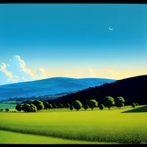 Serene Summer Sky over Vibrant Rapeseed Meadow