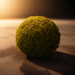 Closeup of Tennis Ball on Grass