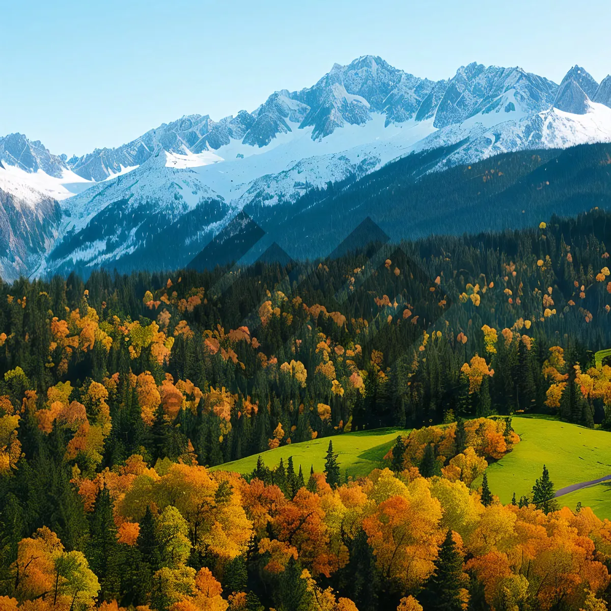 Picture of Mountain Majesty: Scenic Autumn Landscape with Vibrant Mustard Meadow