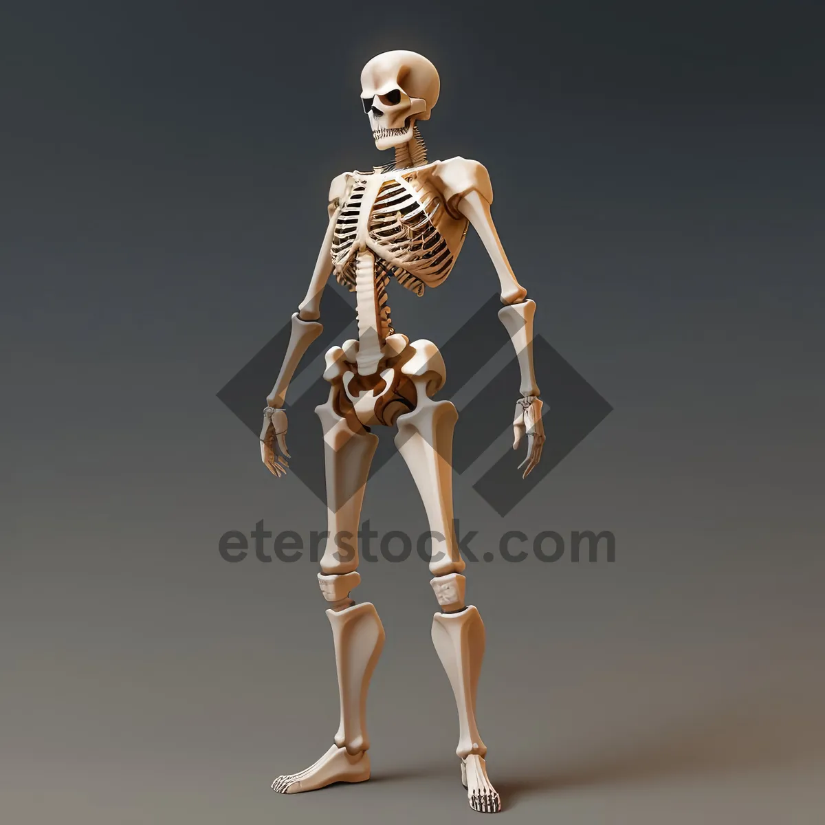 Picture of Anatomical Dance: Muscular Skeleton in 3D Render