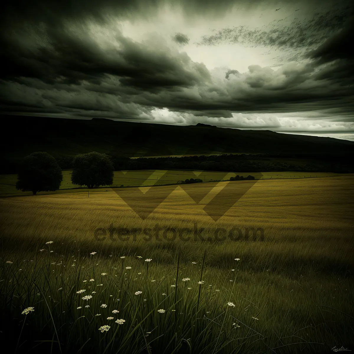 Picture of Golden Sunset Over Rural Hayfield