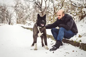 Snowy Forest Dog Playtime