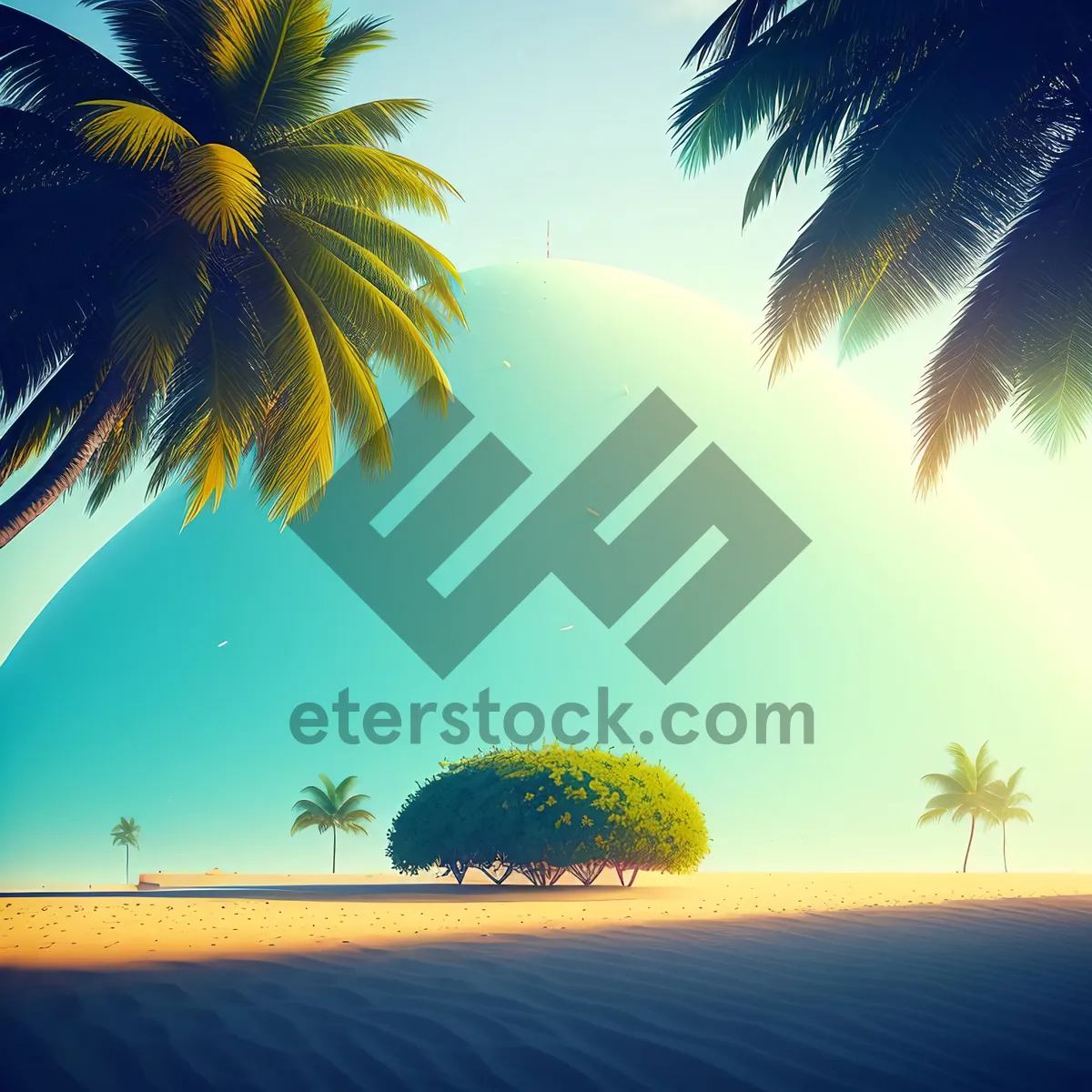 Picture of Silhouette of palm trees at tropical beach sunset