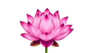 Pink Lotus Flower Icon Decoration Design