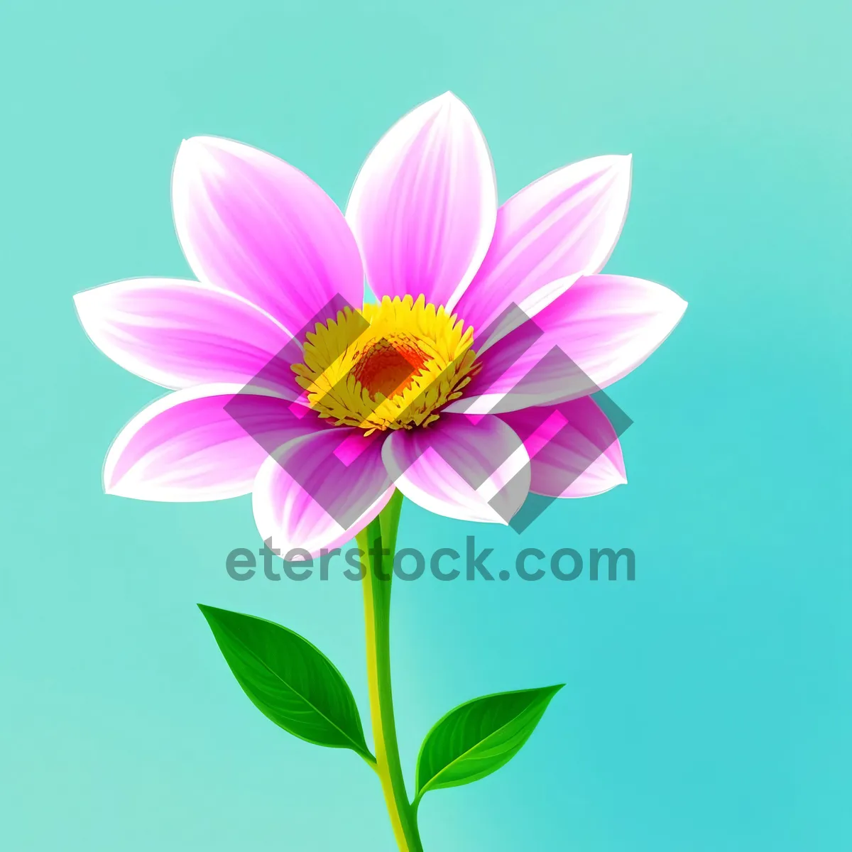 Picture of Pink Lotus Bloom - Stunning Floral Beauty