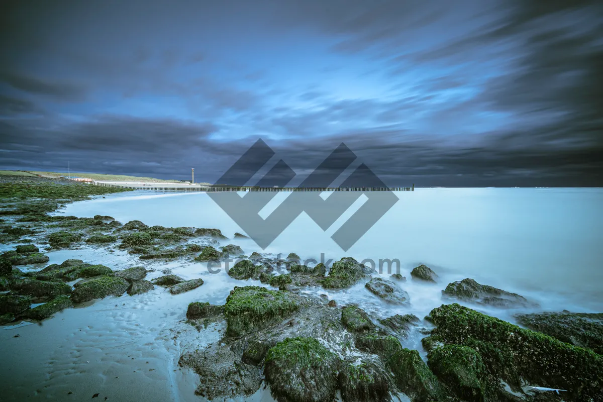 Picture of Sunny Beach by the Seaside
