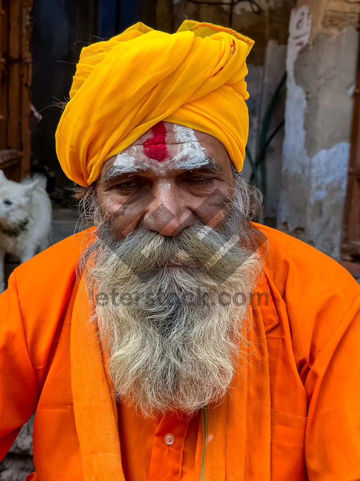 Picture of Happy elderly man with beard and fan.