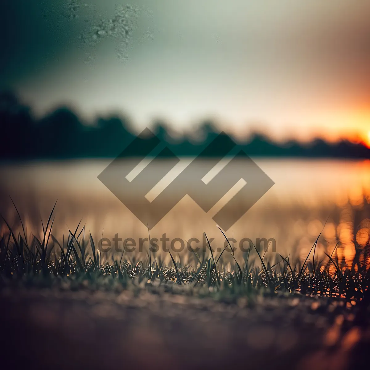 Picture of Golden Sunset over Wheat Field