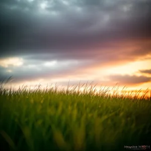 Vibrant Summer Sky Over Rural Landscape